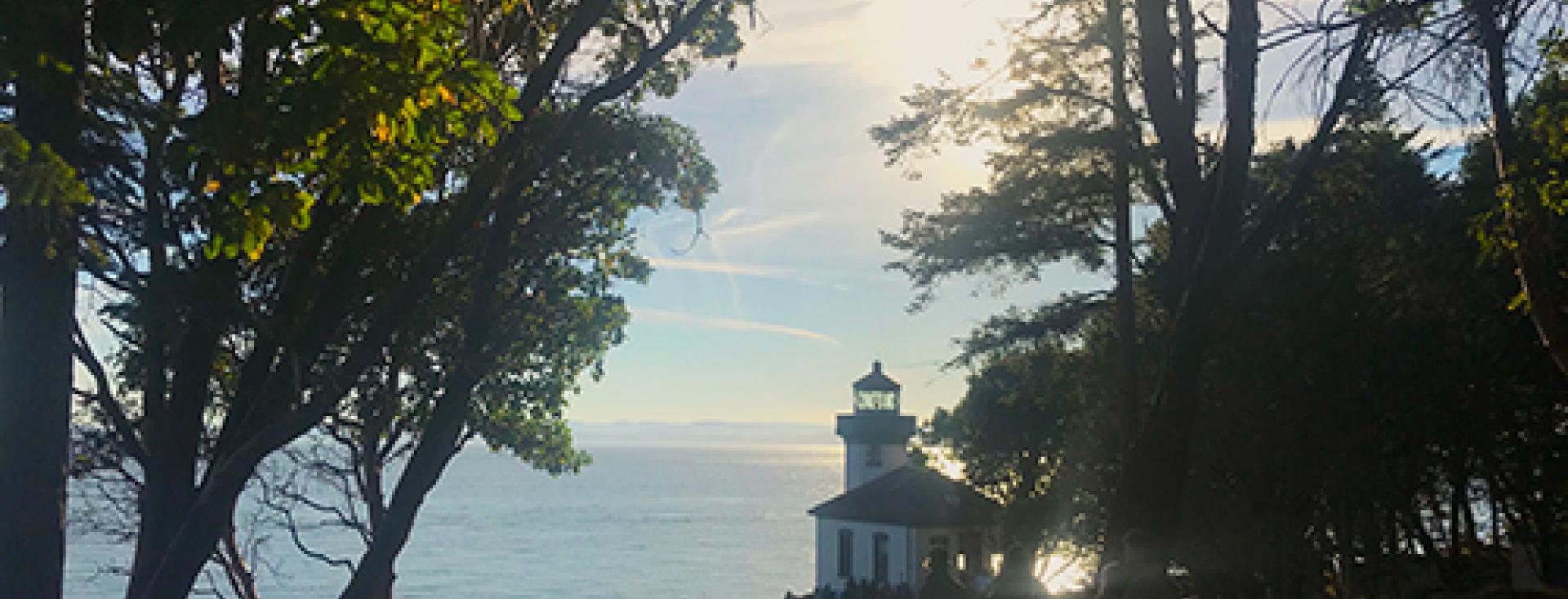 Summer at the Lighthouse