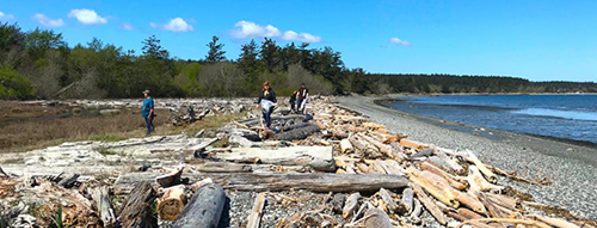 Earth Day Beach Clean-up on San Juan Island